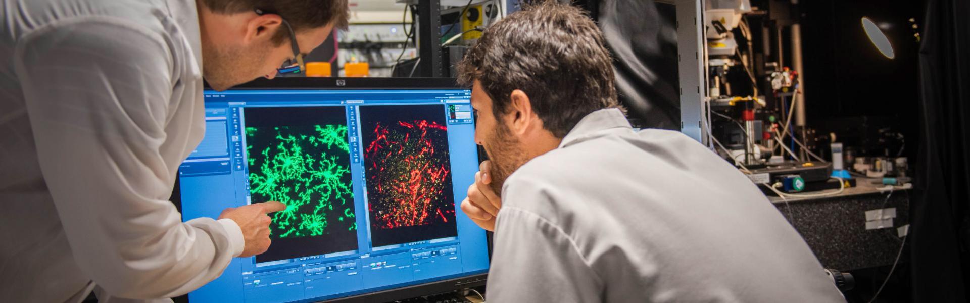 Picture for BIOMEDICAL IMAGING AND ARTIFICIAL INTELLIGENCE