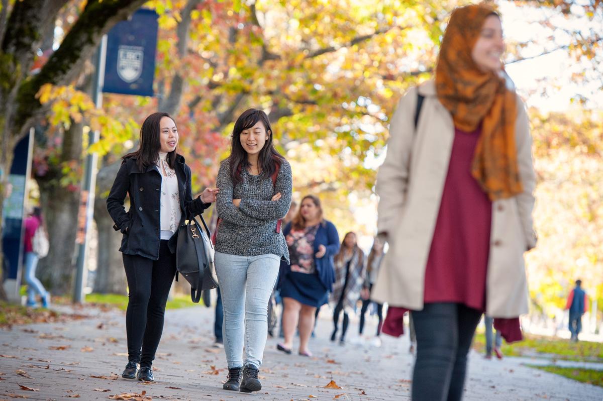 columbia english phd students